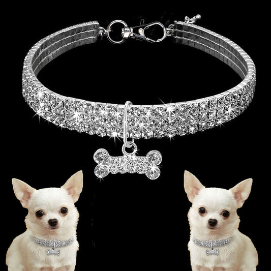 Pat and Pet Emporium | Pet Collars | Shiny Rhinestone Pet Collar
