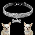 Pat and Pet Emporium | Pet Collars | Rhinestone Bone Collar
