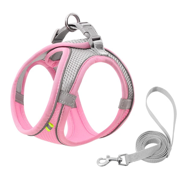 Pat and Pet Emporium | Pet Harnesses | Small Pet Harness Sets