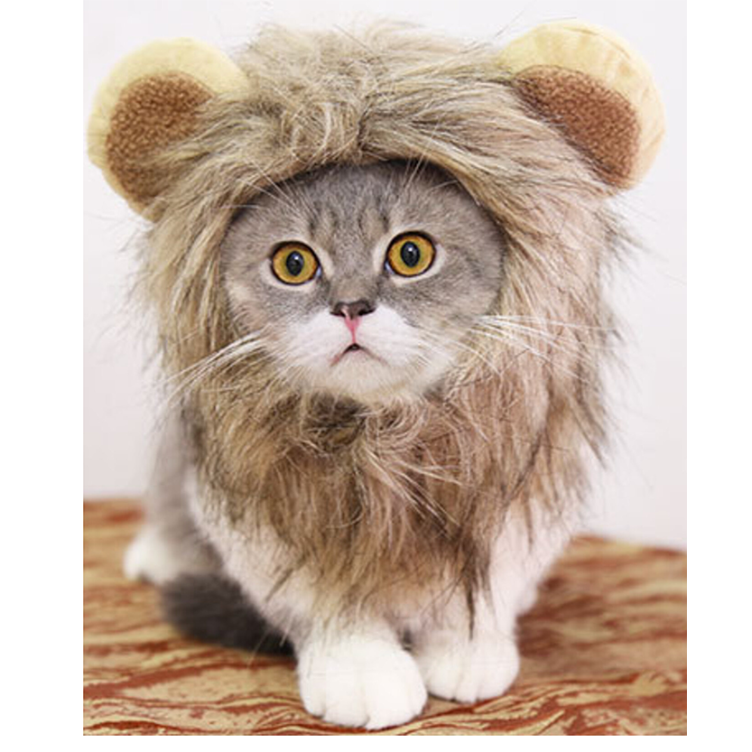 Pat and Pet Emporium | Pet Costumes | Lion Mane Pet Dress Up