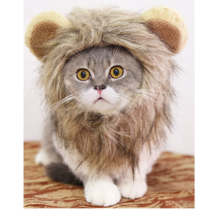 Pat and Pet Emporium | Pet Costumes | Lion Mane Pet Dress Up
