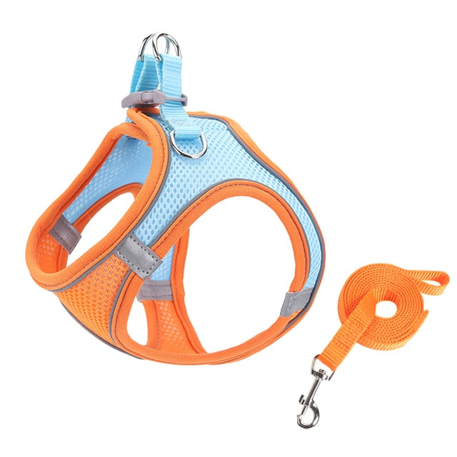 Pat and Pet Emporium | Pet Harnesses | Small Pet Harness Sets