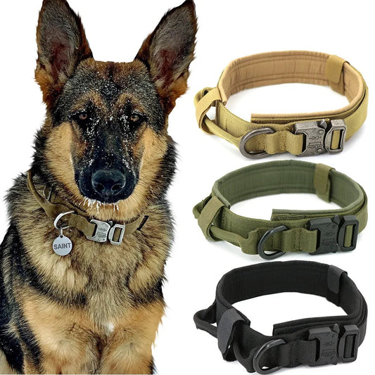 Pat and Pet Emporium | Pet Collars | Dog Collar