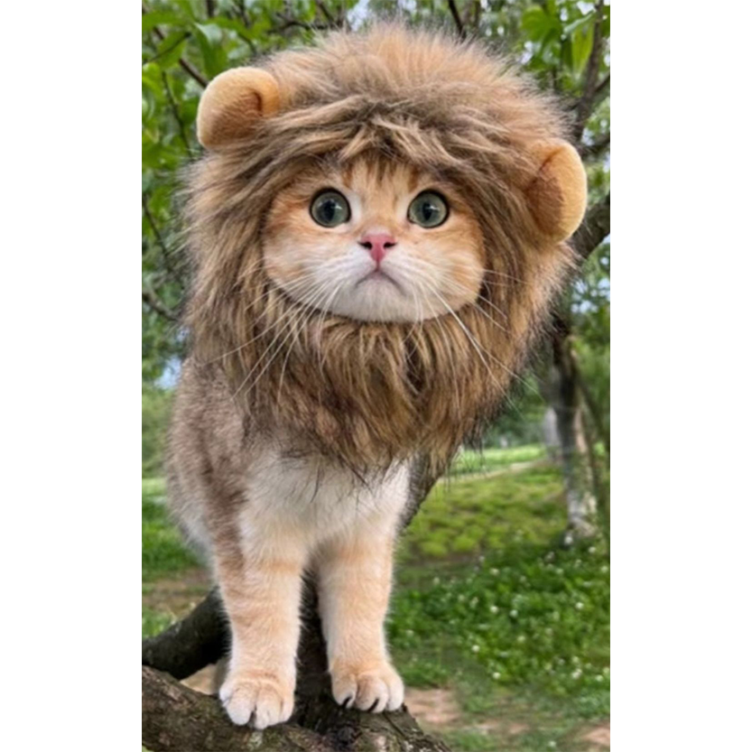 Pat and Pet Emporium | Pet Costumes | Lion Mane Pet Dress Up