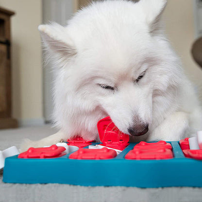 Pat and Pet Emporium | Pet Toys | Pet Snack Treasure Box Toy