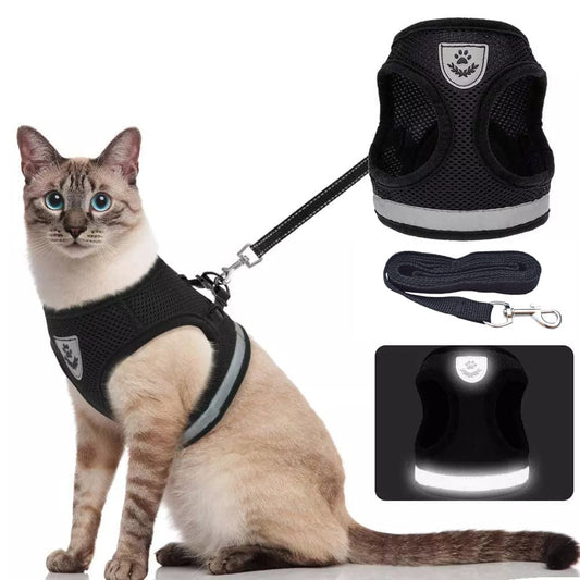 Pat and Pet Emporium | Pet Harnesses | Cozy Cat Pet Harness and Leash