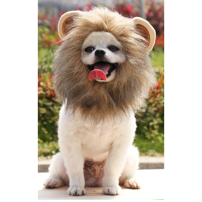 Pat and Pet Emporium | Pet Costumes | Lion Mane Pet Dress Up