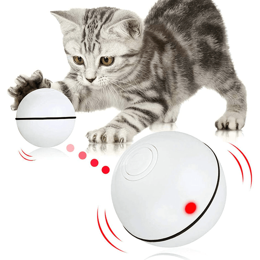 Pat and Pet Emporium | Pet Toys | Smart Interactive Pet Ball