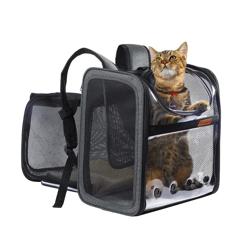 Pat and Pet Emporium | Pet Carriers | Clear Pet Travel Backpack