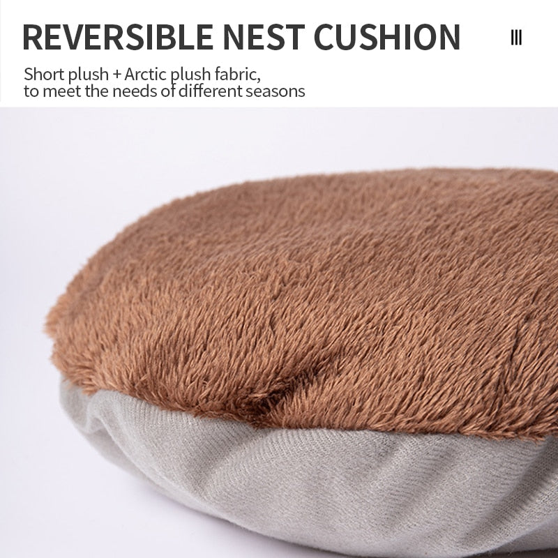 Pat and Pet Emporium | Pet Beds | Cat Bed | Bear Head House