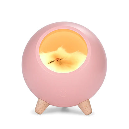 Pat and Pet Emporium | Pet Home Products | LED Cat Light