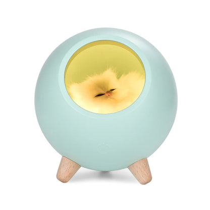 Pat and Pet Emporium | Pet Home Products | LED Cat Light