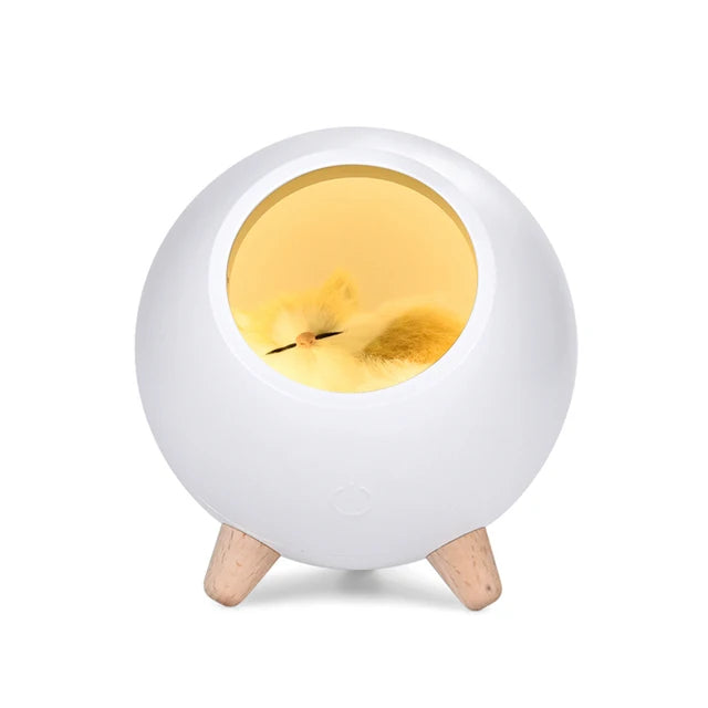 Pat and Pet Emporium | Pet Home Products | LED Cat Light