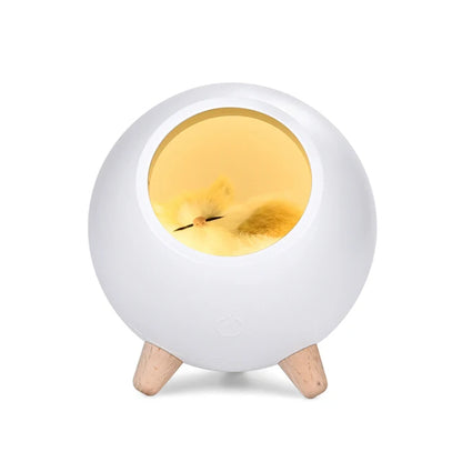 Pat and Pet Emporium | Pet Home Products | LED Cat Light