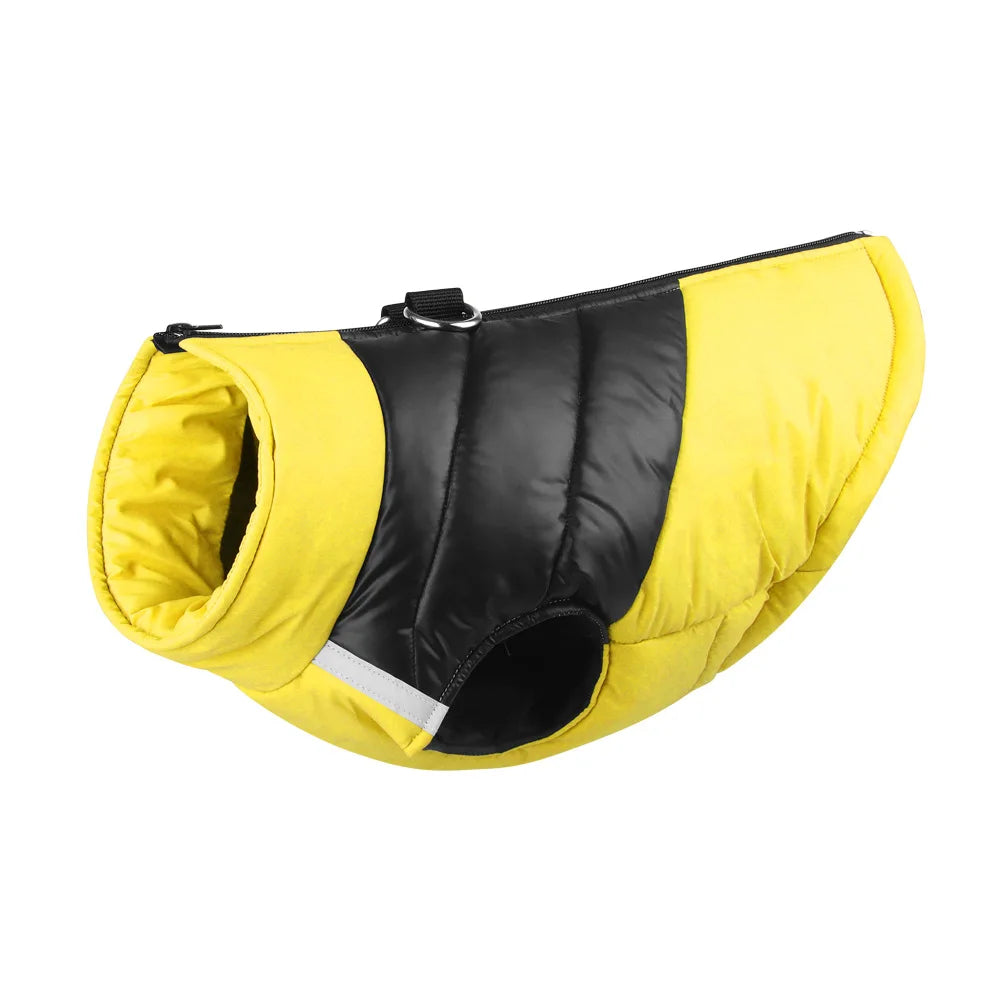 Pat and Pet Emporium | Pet Clothing | Waterproof Bright Dog Jackets
